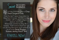 DDG's Secret Blogger's Business eCourse