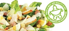 SumoSalad | The Healthiest Fast Food Franchise