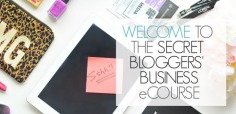 The Secret Bloggers - Business eCourse