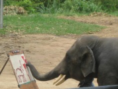 Chiang Mai Photos - Featured Pictures of Chiang Mai, Chiang Mai Province - TripAdvisor