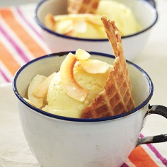 Piña Colada Sorbet Recipe < 100 Healthy Dessert Ideas - Cooking Light