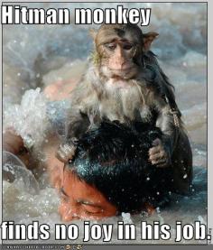 Funny Monkey Quotes