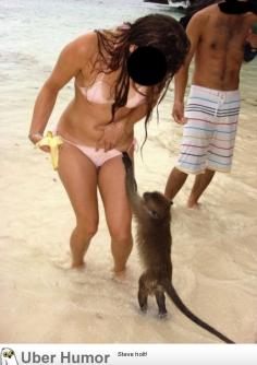 funny pictures