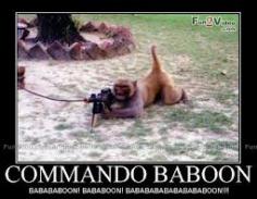 Funny monkey pictures with quotes