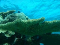 Port Douglas Tourism: 92 Things to Do in Port Douglas | TripAdvisor