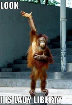 Funny Pictures With Captions | 19 Funny Monkey Pictures funny monkey pictures with captions ...