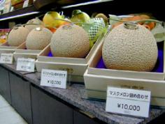 World's Most Expensive Cantaloupe