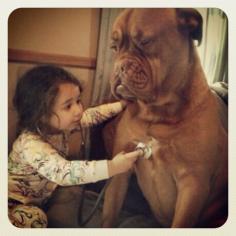 Big Dog with Kid. Cute!