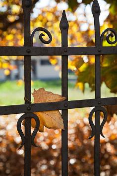 Autumn's Gate