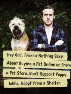 real men and women r kind 2 animals