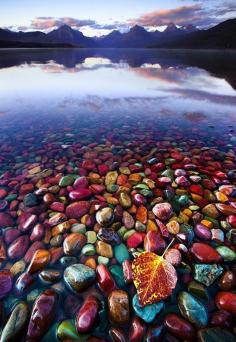 Pebble Shore Lake in Glacier National Park, Montana…