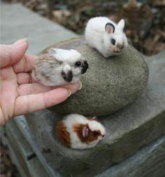 Loppy eared bunnies. Omg...the cuteness....it burns