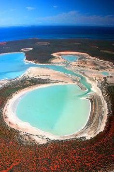 Shark Bay, Western Australia.