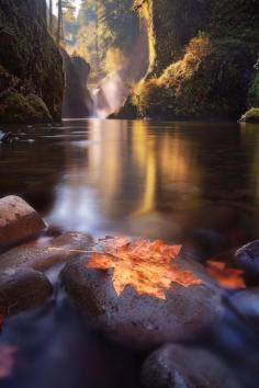 Bonneville, Oregon