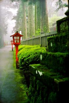 Hakone Green, Morning fog of Hakone, Kanagawa, Japan.