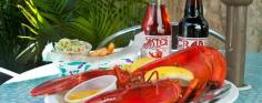 Yankee Lobster Company - Seafood Menu
