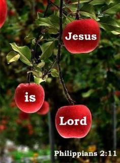 PHILIPPIANS 2:11