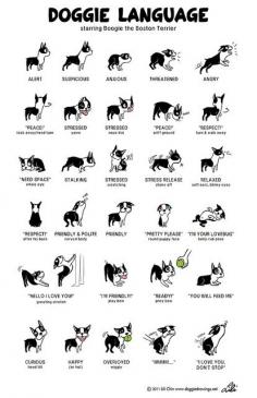 Adorable and useful