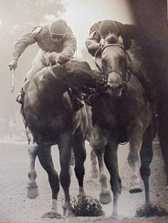 The race was the 1980 Tremont stakes with Great Prospector savaging the winner, Golden Derby. This is the famous ECLIPSE AWARD WINNING PHOTO taken by the noted New York track photographer Bob Coglianese.