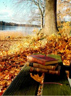 Crunchy Leaves  Apple Trees