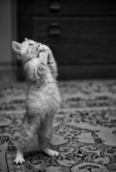 Little cutie ♥