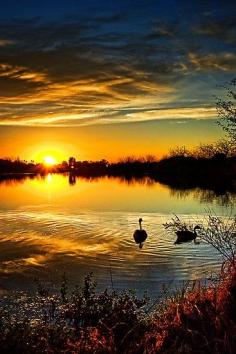 Canadian geese sunset ~ Arizona, USA      #amazing #earth
