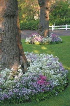 Flower beds edging around the