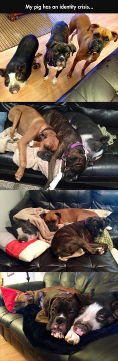 Funny Pictures Of The Day - 103 Pics