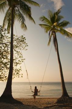 Palm tree swing