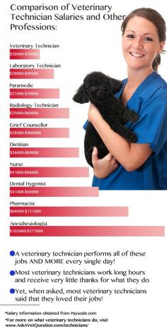 veterinary technician salaries---For those of you that don't know what a techs job is, this article gives a basic understanding.cp