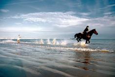 Waterskiing behind a horse. MY DREAM