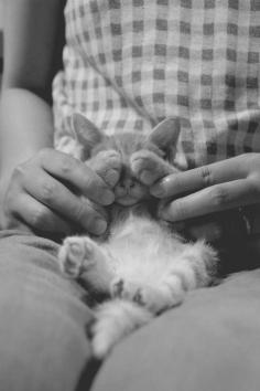 tiny