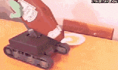 31 GIFs That Will Make You Laugh Every Time