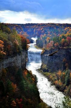Glen Iris, Grand Canyon of the East, Letchworth State Park in Upstate New York - Harvey Taylor