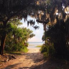 Peaceful day on Cumberland Island.