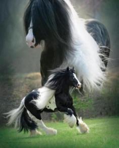 Stunning!
