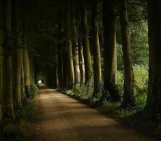 I wish this was my driveway.  An estate in Wezep, Holland.