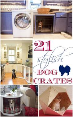 21 Stylish Dog Crates