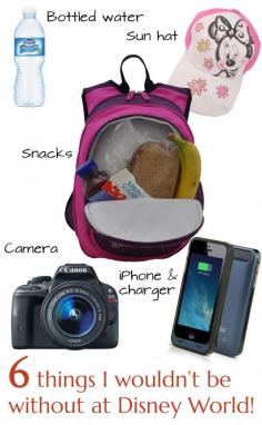 The 6 things I carry in my bag when we go to Disney World