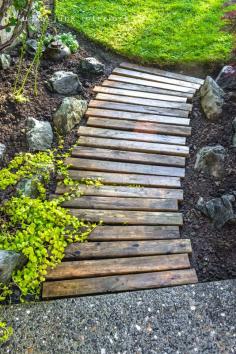 pallet pathway in garden