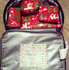155 Elf on the Shelf Ideas