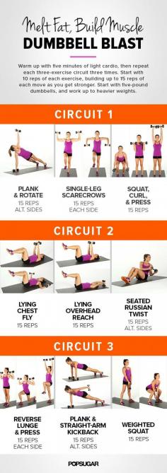 Dumbbells circuit