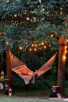 Lighted Hammock, Marin, California