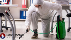 Our range of pest control services include: 

•	Ant control
•	Cockroach control
•	Termite control
•	Bee Control
•	Rat Control
•	Possum Control 
•	Flea Control 
•	Wasp Control
•	Bed Bug Control
•	Spider Control
•	And More!

Our pest control services ensure 100% customer satisfaction and includes ground-breaking technology use that is not just efficient to get rid of the pests but environmental friendly too. Thus, you, your family, and your property are not affected by any harmful chemicals. Rest assured to get quick, dependable, and efficient pest control services with our team of pest control experts. 
Call us for a quick, no-obligation pest control service quote. 

