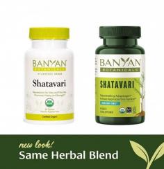 Shatavari, known as the "Queen of Herbs," is a powerful Ayurvedic herb celebrated for its numerous benefits for women's health. At AyurHealthcare, we offer premium Shatavari supplements in Australia, known to support hormonal balance, enhance fertility, and alleviate menstrual discomfort. This adaptogenic herb helps regulate the reproductive system, reduce stress, and improve vitality. Additionally, Shatavari is often used to support lactation in breastfeeding mothers. With its ability to balance the body’s doshas, Shatavari is a natural and holistic solution for women seeking improved health and wellness. Shop online at AyurHealthcare for high-quality Shatavari products, delivered across Australia.