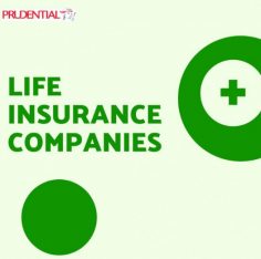 Life insurance companies offer a range of policies to protect your family's future. Learn how to compare providers based on reliability, coverage options, and customer service to find the best fit for your needs.








