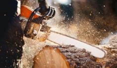 Why should you consider tree lopping Sydney North Shore from our experienced professionals? Trees are one of our most undervalued resources, which is why their health lies at the core of our service. Removal, pruning or lopping can be the most effective method of maintaining aesthetic and structural integrity. This is one aspect of our business that sets us apart from a standard tree removalist—we’re educated and trained in all facets of tree biology. Branch Out Tree Specialists have over 15 years of experience in arboriculture, and we’re strongly passionate about the restoration and conservation of trees across all Sydney regions. We stand by a comprehensive process, taking the time to accurately assess the tree or vegetation before making an informed decision or recommendation. We also supply our customers with inspection reports to assist them with future maintenance to prolong the life of their tree.