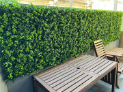 Create a Privacy Screen with Stunning Fake Living Wall
Elevate your home or office with Designer Plants’ premium Fake Living Wall collection! These elegant, maintenance-free greenery panels are perfect for transforming any space into a lush, natural paradise.

Designed with Australian weather in mind, our range includes options for indoors or UV-protected choices that stay lush and green all year round, come rain or shine. Plus, there’s no waiting around for them to grow – they arrive at your door vibrant and ready to transform your space instantly.


Features You’ll Love
Realistic designs for that natural touch
UV-resistant materials for long-lasting beauty
Eco-friendly, family-safe, and recyclable
Simple DIY installation – no maintenance required!

Add style and vibrance to your walls with our stunning range of fake living walls. They’re perfect for homes, offices, or events. They’re super low-maintenance and couldn’t be easier to install. Transform your surroundings effortlessly with Designer Plants today! Enjoy fast delivery across Australia!


Search Online “Designer Plants” & visit the website for more information on this.