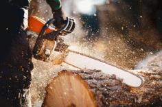 We’ve built a wide network of customers across all sectors through our tree lopping Sydney North Shore, including residential, commercial and local government. Professional & highly trained team: We continually hold ourselves to a high standard, working closely to industry regulations and striving for excellent with every job—big or small. Commitment to sustainability: With a drive to protect our tree species, our core purposes is to implement restorative strategies to promote growth. Reliable service: We have an ethical framework in place that guarantees best practice. This includes being prompt, arriving on time, and efficiently responding to all calls and enquiries. For your tree lopping Sydney North Shore or other tree services, choose Branch Out Tree Specialists and get the professional guidance you need to make an informed decision with your trees.