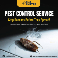 Maintain a clean and comfortable environment with professional Cockroach Treatment in Gold Coast. Suitable for residential and commercial properties, this service focuses on identifying cockroach activity and applying targeted treatment methods to manage the issue effectively. With experienced technicians and approved practices, cockroach treatment supports hygiene standards and ongoing property care. Choose trusted cockroach treatment services in Gold Coast for consistent maintenance and peace of mind.